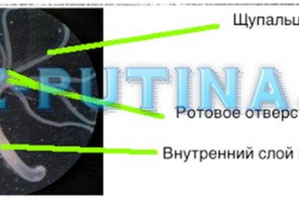 Как зайти на маркетплейс кракен