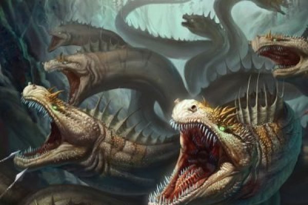 Kraken forum